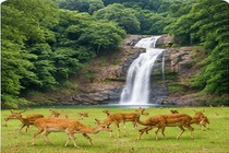 Khao Yai National Park